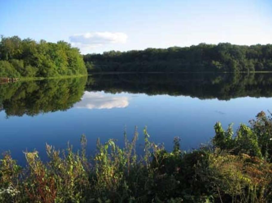 Domaine De Tardais, Ideal Famille Avec Piscine Et Nombreux Loisirs Senonches Экстерьер фото